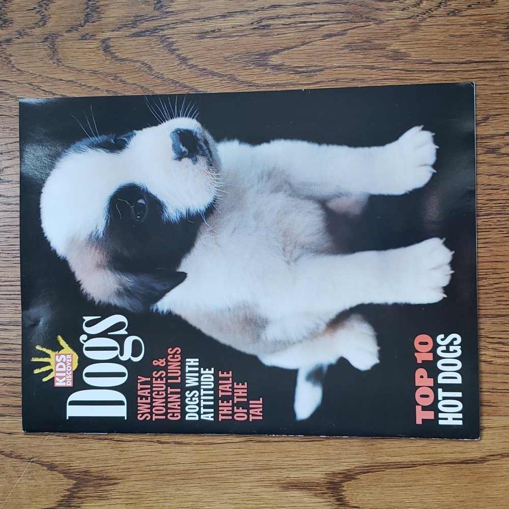 Vintage Y2K Kids Discover Magazine Dogs Volume 10 Issue 7 August 2000